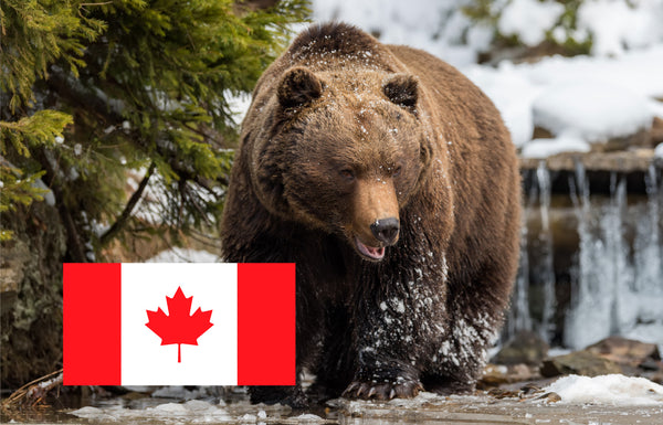 Bear and Wilderness Safety Canada