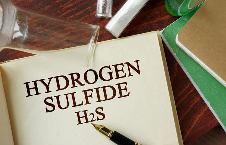 Hydrogen Sulfide Safety for General Industry