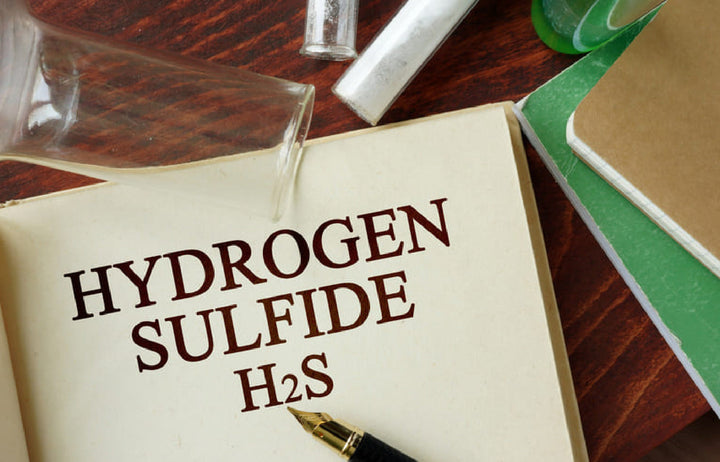 Hydrogen Sulfide (HAZCOM Version)